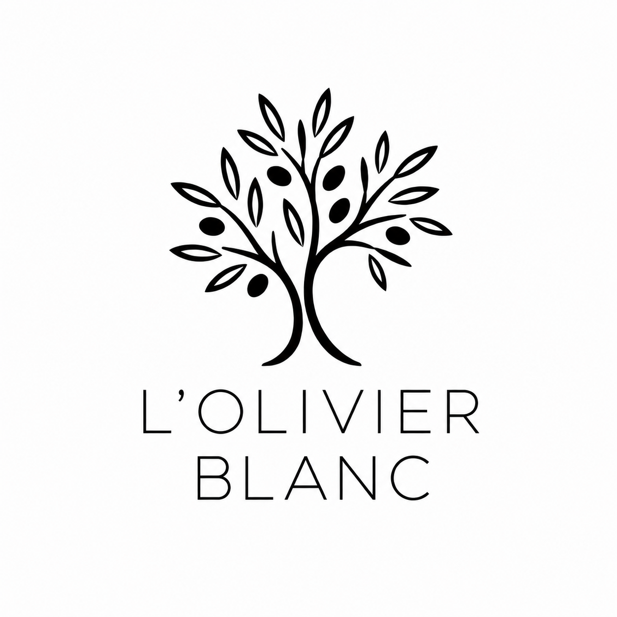 L’Olivier Blanc